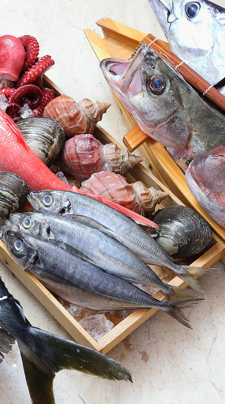 魚集合写真